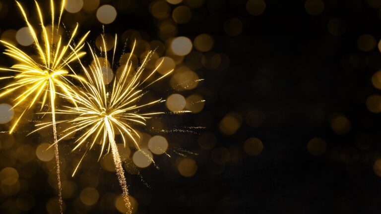 Fireworks bursting over a dark night sky during a summer holiday celebration