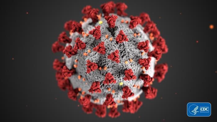 How insurance carriers are handling Coronavirus